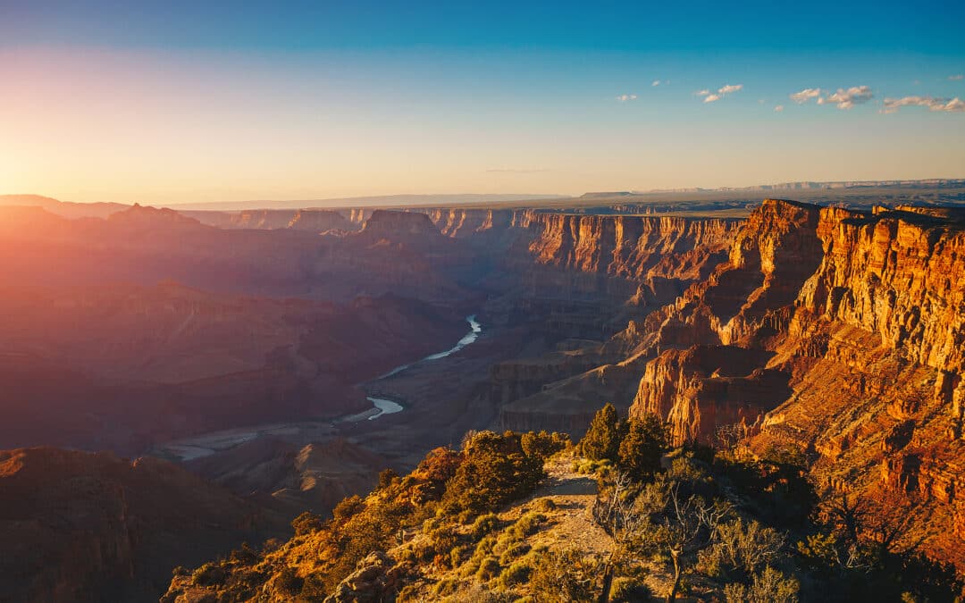 Forest Travel Reviews Trip to the Grand Canyon