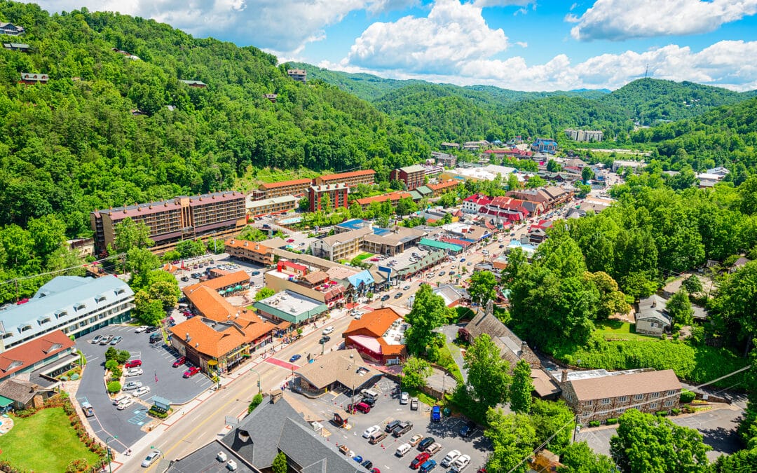 Forest Travel Reviews Top Sites in Gatlinburg, Tennessee